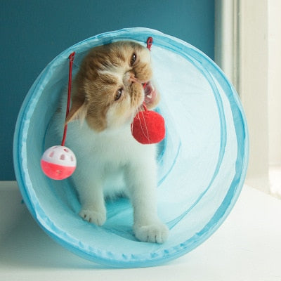 Cat tunnel