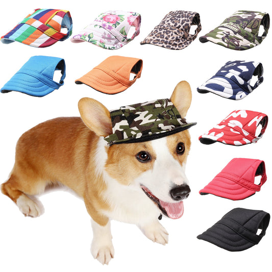 Colorful dog hats