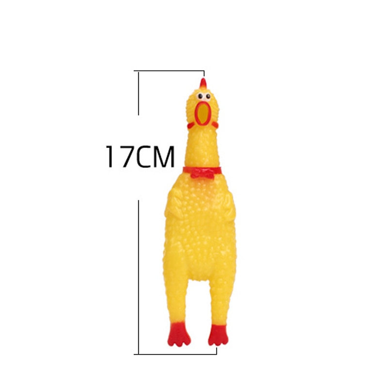 Squeaky Chicken toy