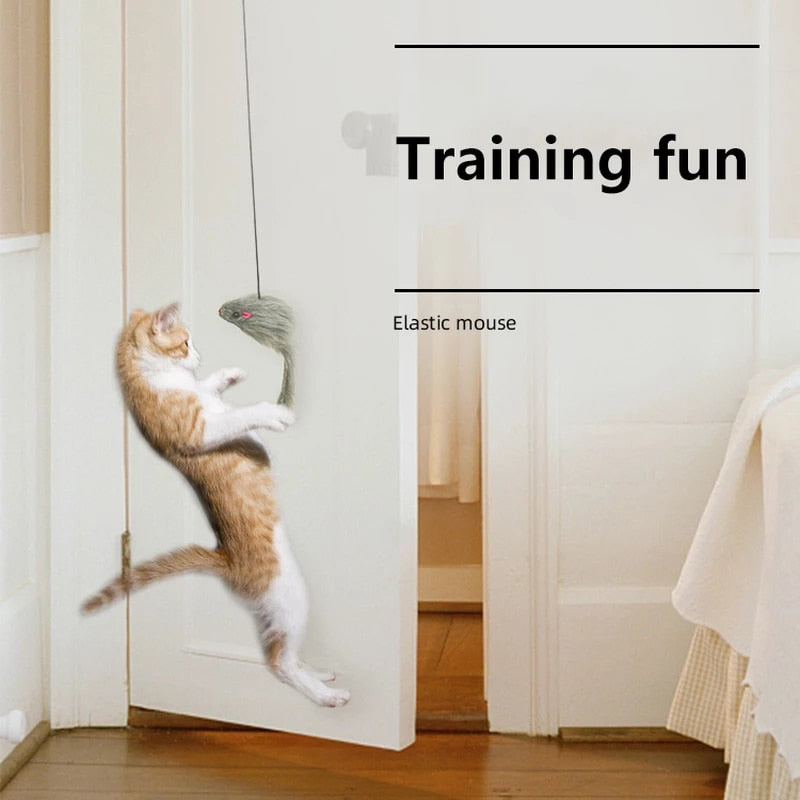 Door clip hanging cat toy